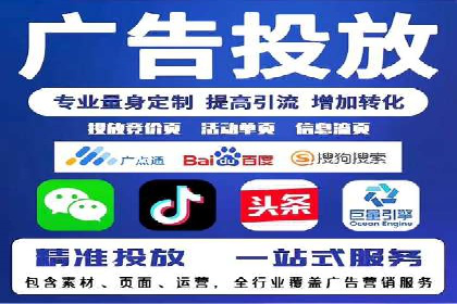 专业SEM运营托管服务案例分析